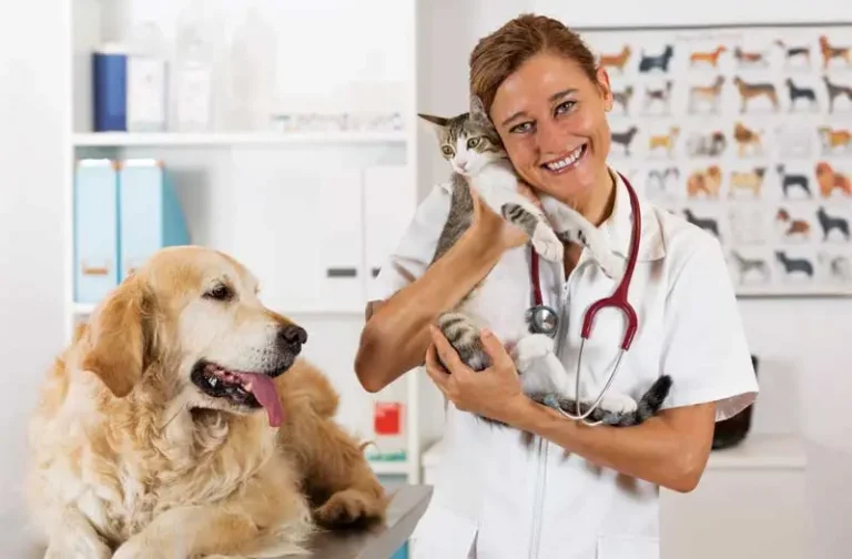 تخصص الطب البيطري في تركيا: مدة الدراسة والمواد وشروط القبول