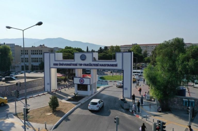 جامعة إيجه Aegean University